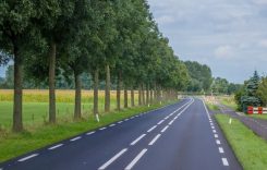 Olanda începe controalele privind detașarea șoferilor