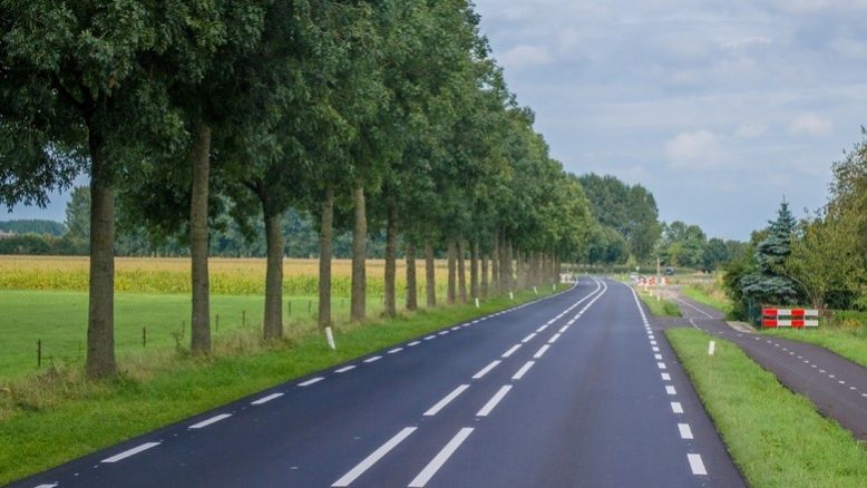 Olanda începe controalele privind detașarea șoferilor