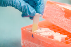 Thermo King lansează soluții de stocare la rece pentru distribuția vaccinului anti Covid