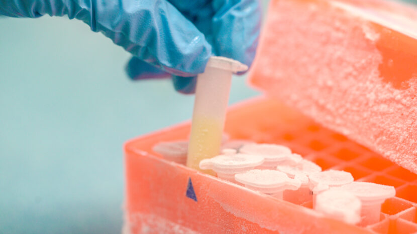 Thermo King lansează soluții de stocare la rece pentru distribuția vaccinului anti Covid