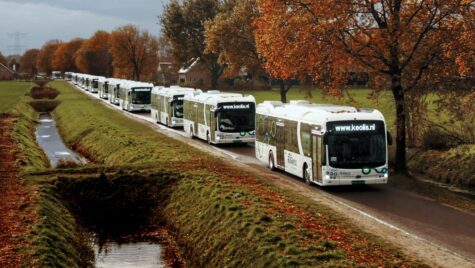 BYD a livrat 246 de autobuze electrice în Olanda