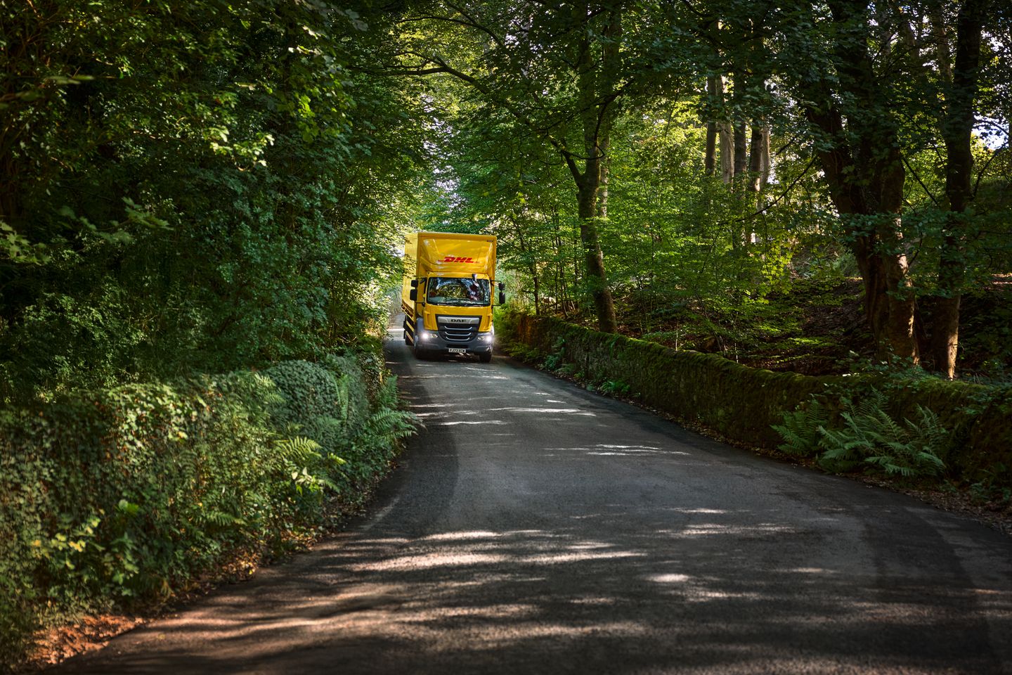 DHL Express